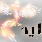 معنى اسم وليد